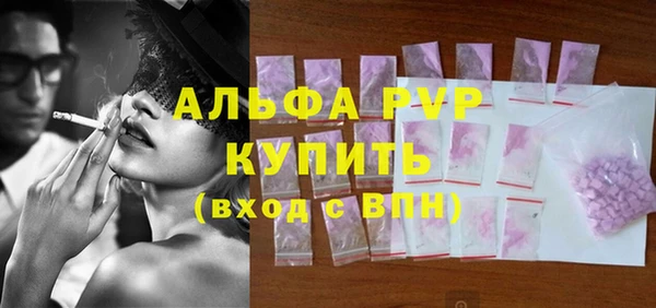сатива Дмитровск