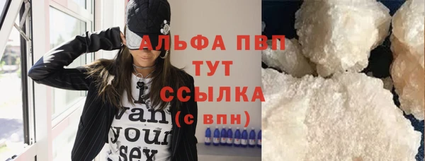 сатива Дмитровск