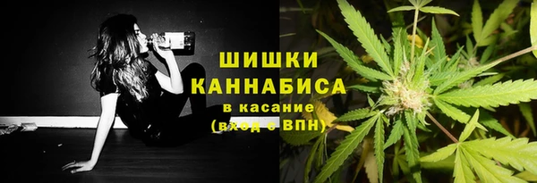сатива Дмитровск