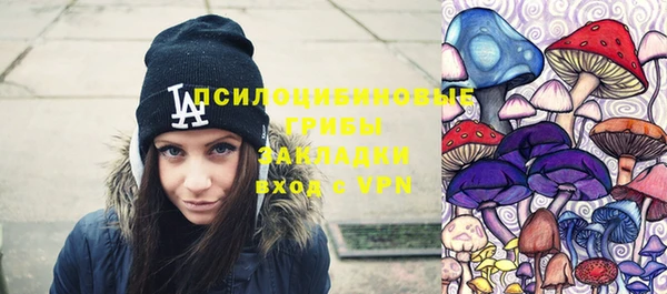молекула духа Дмитриев