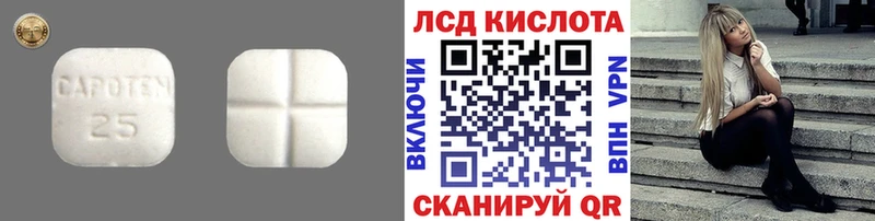 LSD-25 экстази кислота  Купить закладки  Заречный 