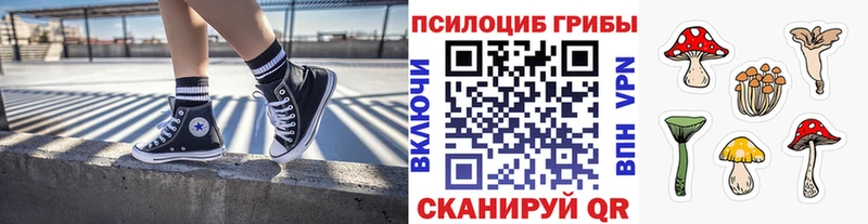 Псилоцибиновые грибы GOLDEN TEACHER  Купить закладки  Заречный 